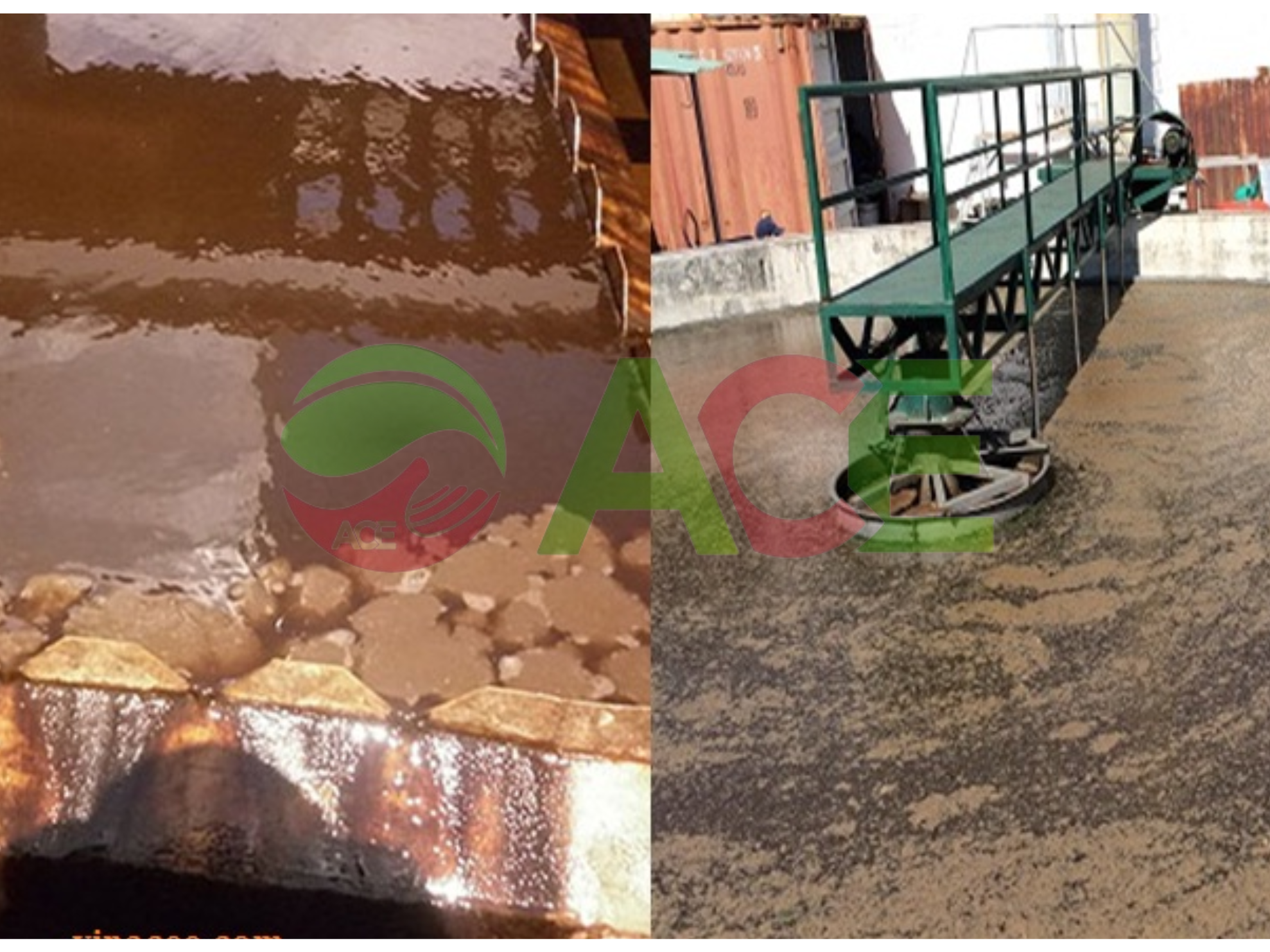 Hiện tượng bùn nở trong bể hiếu khí và bùn nổi trong quá trình lắng